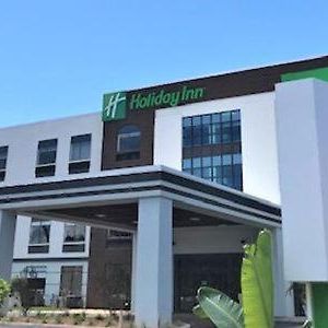 Holiday Inn - Tampa North By Ihg